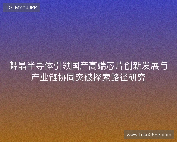 舞晶半导体引领国产高端芯片创新发展与产业链协同突破探索路径研究